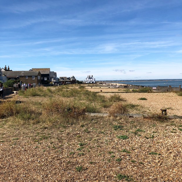 view of beach featuring a white pub in the distance
